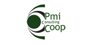 PMI-Consulting4-1